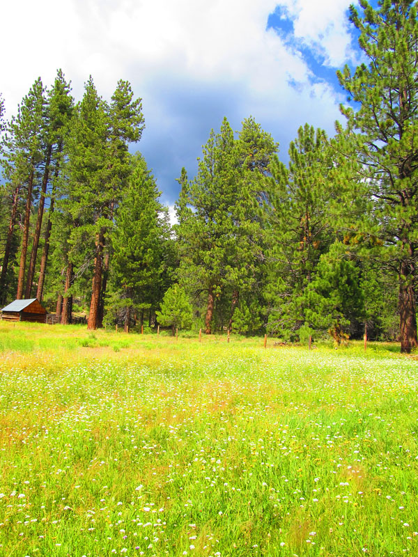 cannell_trail_IMG_1863