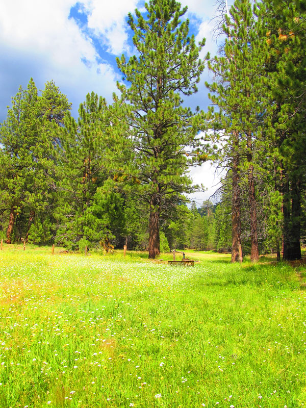 cannell_trail_IMG_1864