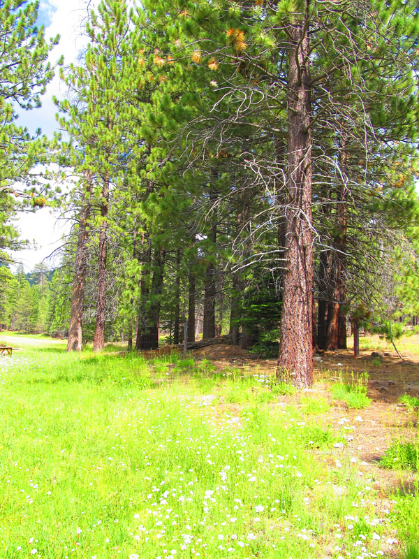 cannell_trail_IMG_1865