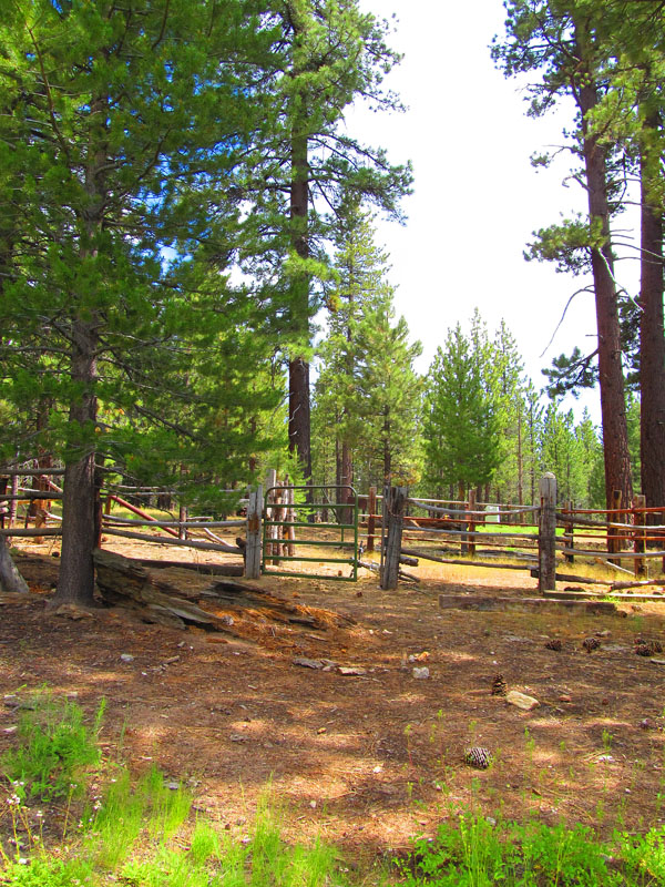 cannell_trail_IMG_1868