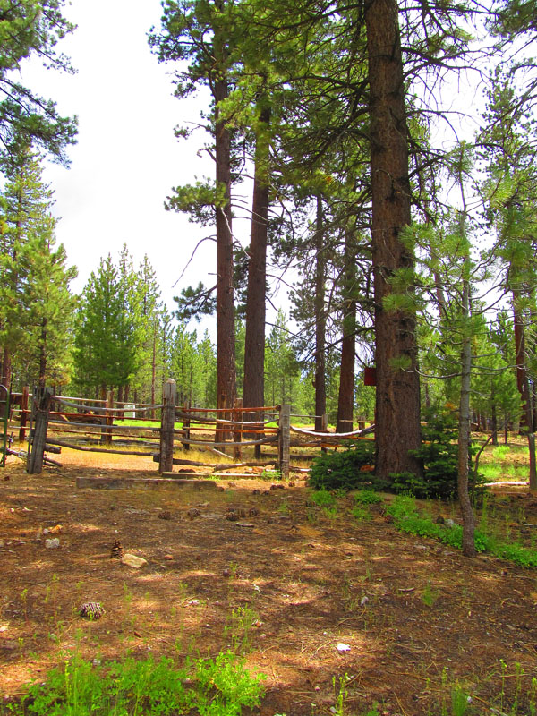 cannell_trail_IMG_1869