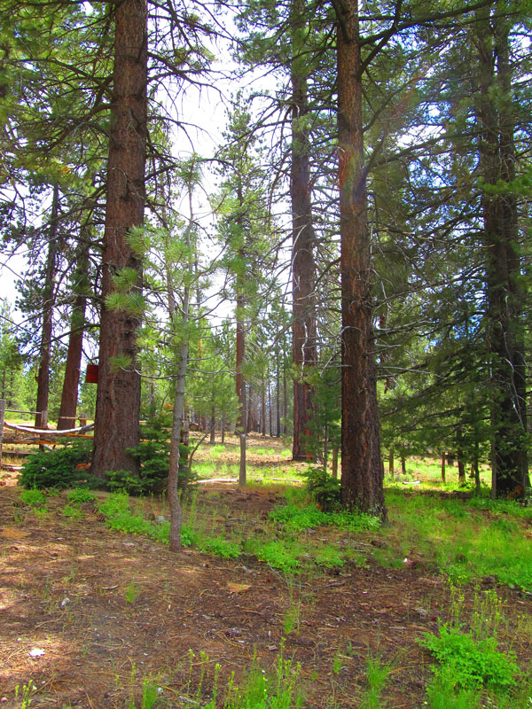 cannell_trail_IMG_1870