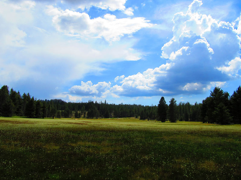 cannell_trail_IMG_1875