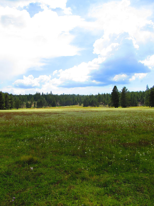 cannell_trail_IMG_1876