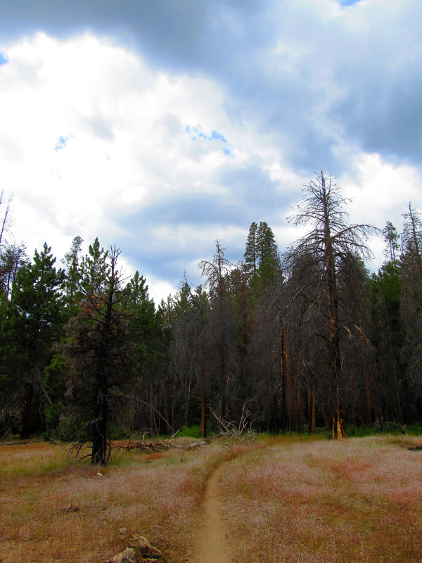 cannell_trail_IMG_1877
