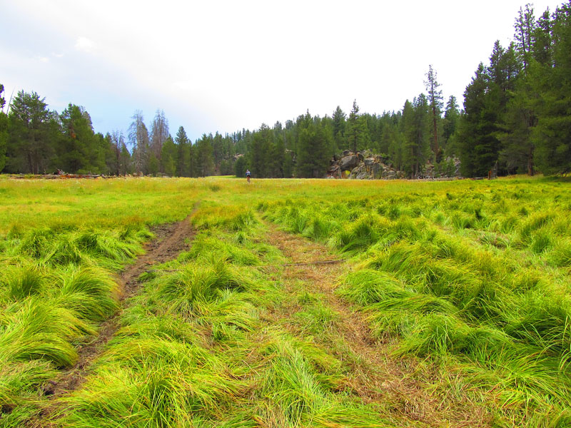 cannell_trail_IMG_1881