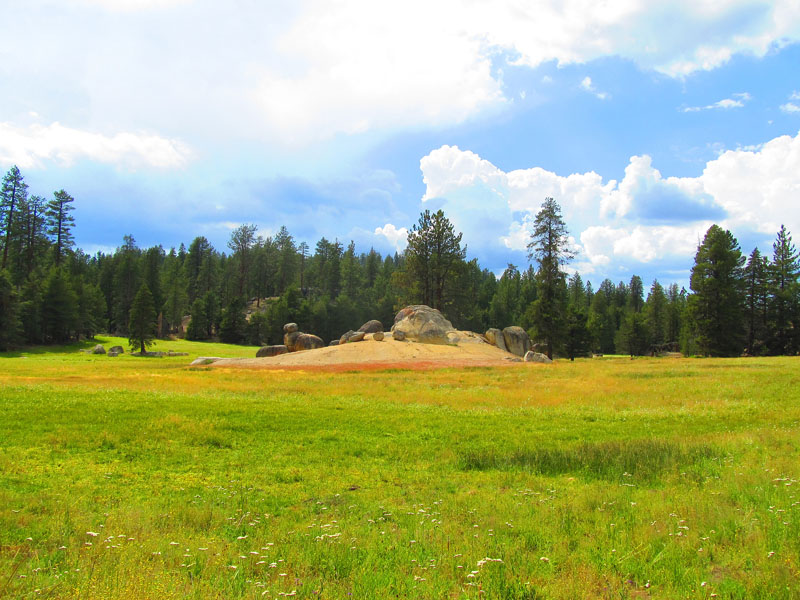cannell_trail_IMG_1903