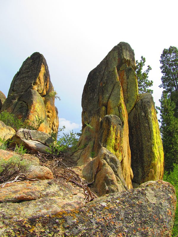 cannell_trail_IMG_1912