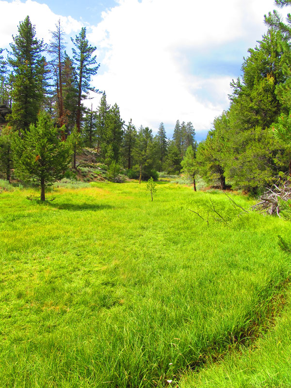 cannell_trail_IMG_1914