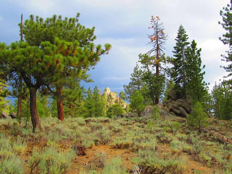 cannell_trail_IMG_1918