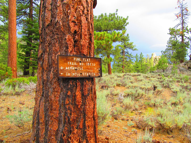 cannell_trail_IMG_1920