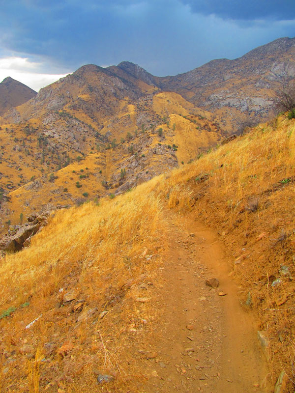 cannell_trail_IMG_1940