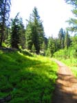 cannell_trail_IMG_1751