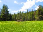 cannell_trail_IMG_1801