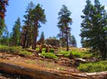 cannell_trail_IMG_1803