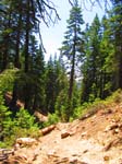 cannell_trail_IMG_1804