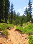 cannell_trail_IMG_1805