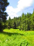 cannell_trail_IMG_1806