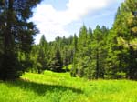 cannell_trail_IMG_1807