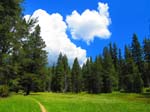 cannell_trail_IMG_1810