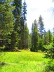 cannell_trail_IMG_1811
