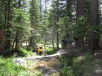 cannell_trail_IMG_1815