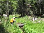 cannell_trail_IMG_1816