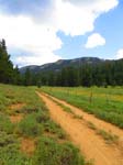 cannell_trail_IMG_1824