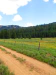 cannell_trail_IMG_1825