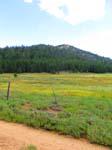 cannell_trail_IMG_1826