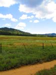 cannell_trail_IMG_1828