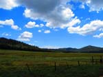 cannell_trail_IMG_1831