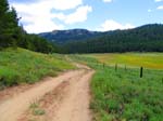 cannell_trail_IMG_1832