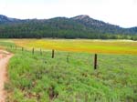 cannell_trail_IMG_1833
