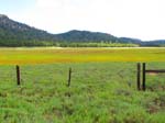 cannell_trail_IMG_1834