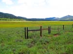 cannell_trail_IMG_1835