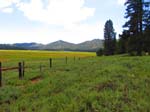 cannell_trail_IMG_1836