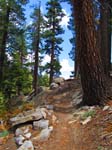cannell_trail_IMG_1848