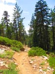 cannell_trail_IMG_1853