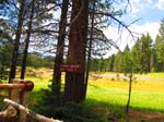 cannell_trail_IMG_1855