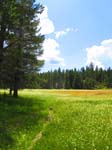 cannell_trail_IMG_1857