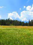 cannell_trail_IMG_1858