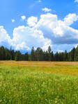 cannell_trail_IMG_1859