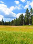 cannell_trail_IMG_1860