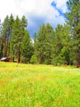 cannell_trail_IMG_1863