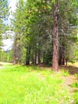 cannell_trail_IMG_1865