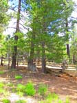 cannell_trail_IMG_1867