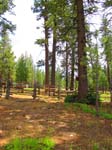 cannell_trail_IMG_1869