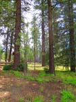 cannell_trail_IMG_1870