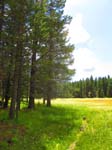 cannell_trail_IMG_1872